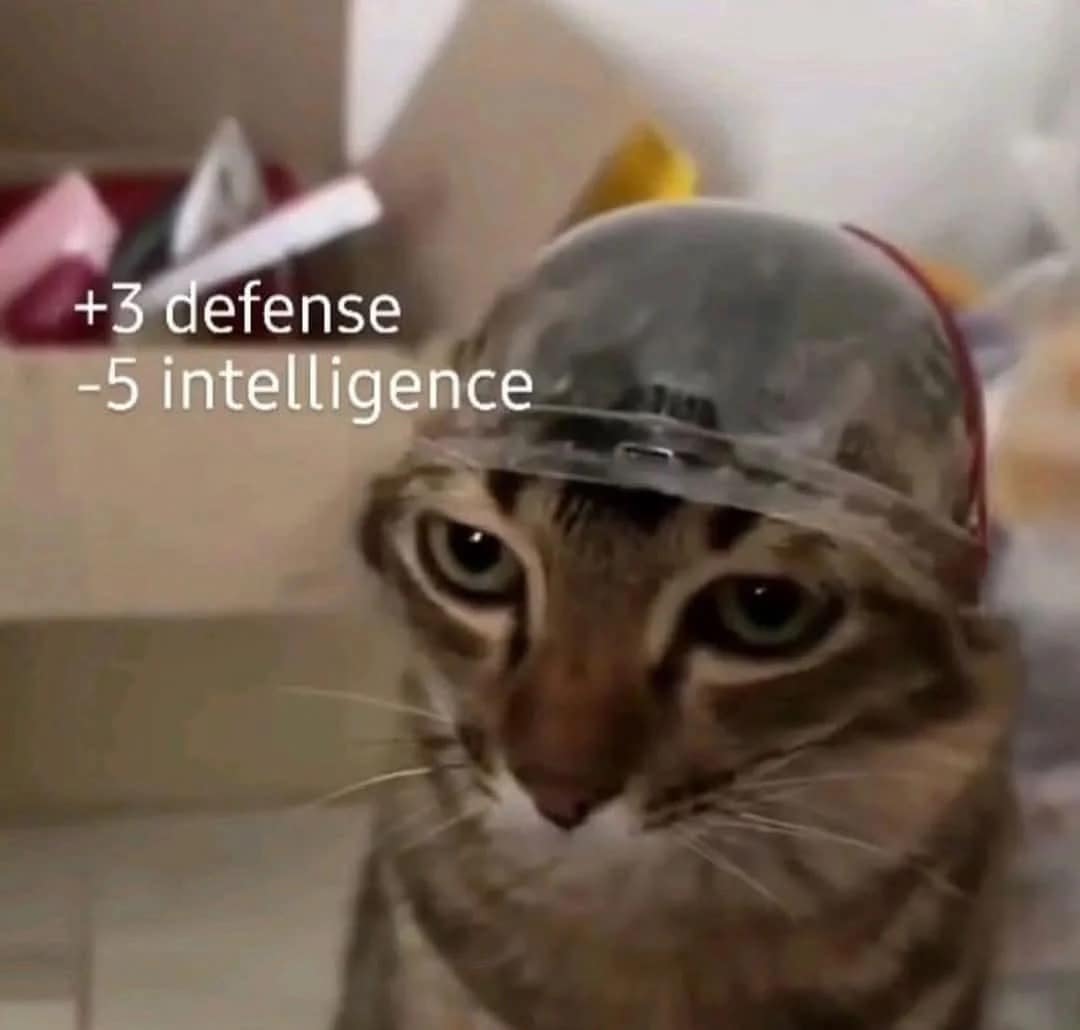 funny animal memes, animal memes, cute animal memes, pet memes, hilarious animal memes, animal jokes, funny pet memes, critter memes, dog memes, cat memes, animal humor, adorable memes, animal pics, animal laughs, furry memes, animal comedy, animal gif memes, pet jokes, animal funnies, animal lol