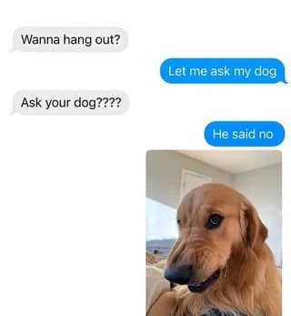 funny animal memes, animal memes, cute animal memes, pet memes, hilarious animal memes, animal jokes, funny pet memes, critter memes, dog memes, cat memes, animal humor, adorable memes, animal pics, animal laughs, furry memes, animal comedy, animal gif memes, pet jokes, animal funnies, animal lol