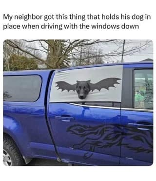 funny animal memes, animal memes, cute animal memes, pet memes, hilarious animal memes, animal jokes, funny pet memes, critter memes, dog memes, cat memes, animal humor, adorable memes, animal pics, animal laughs, furry memes, animal comedy, animal gif memes, pet jokes, animal funnies, animal lol