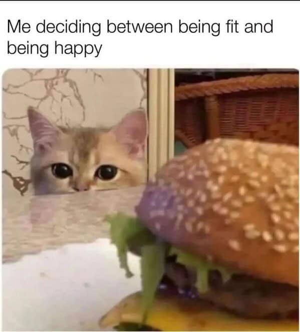 funny cat memes, cat memes, cat owner memes, cute cat memes, kitty memes, hilarious cat memes, feline humor, cat jokes, cat meme collection, whisker memes, cat comedy, lol cats, cat laugh memes, internet cat jokes, cat humor, kitty laughs, meme cats, paw-sitive memes, cat funnies, feline memes, cat meme dump