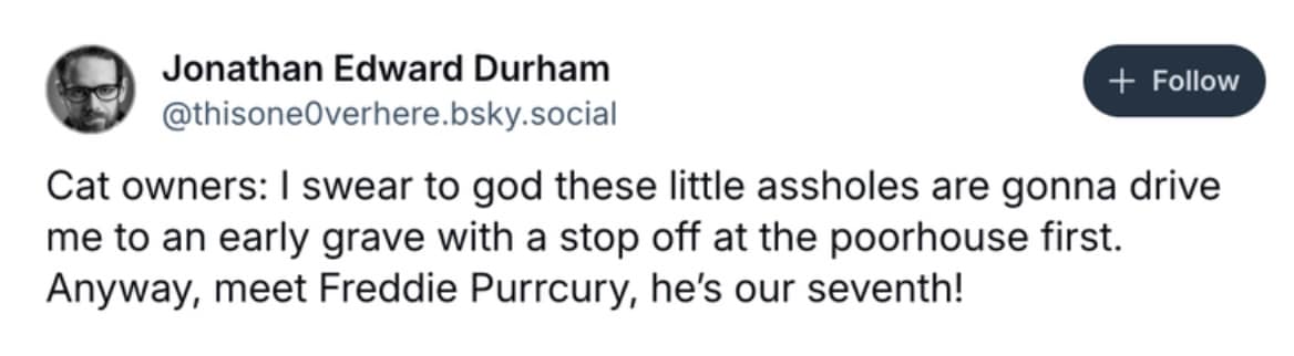 funny cat memes, cat memes, cute cat memes, kitty memes, hilarious cat memes, cat jokes, cat humor, feline memes, cat pics, crazy cat memes, cat laugh memes, cat funny pics, kitty humor, internet cat memes, whisker memes, cat comedy, cat lovers memes, meme cats, feline funny, cat meme dump