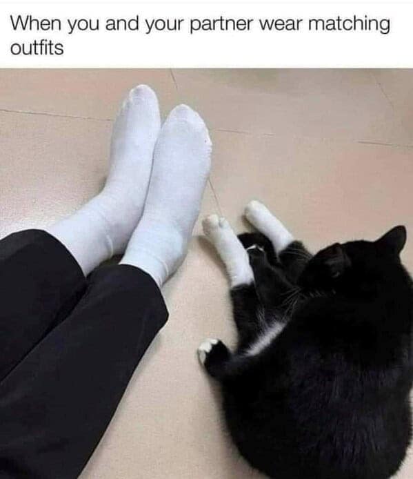 funny cat memes, cat memes, cat owner memes, cute cat memes, kitty memes, hilarious cat memes, feline humor, cat jokes, cat meme collection, whisker memes, cat comedy, lol cats, cat laugh memes, internet cat jokes, cat humor, kitty laughs, meme cats, paw-sitive memes, cat funnies, feline memes, cat meme dump