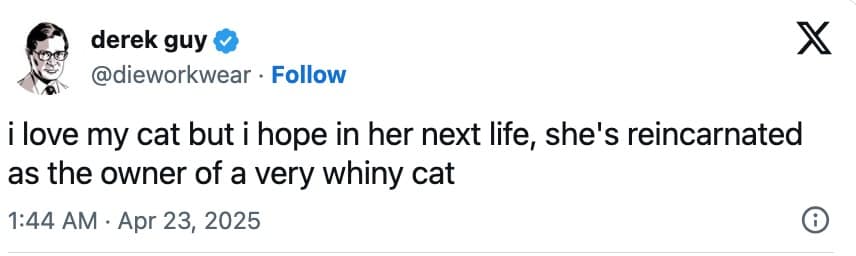 funny cat memes, cat memes, cute cat memes, kitty memes, hilarious cat memes, cat jokes, cat humor, feline memes, cat pics, crazy cat memes, cat laugh memes, cat funny pics, kitty humor, internet cat memes, whisker memes, cat comedy, cat lovers memes, meme cats, feline funny, cat meme dump