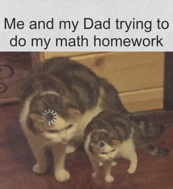 funny cat memes, cat memes, cat owner memes, cute cat memes, kitty memes, hilarious cat memes, feline humor, cat jokes, cat meme collection, whisker memes, cat comedy, lol cats, cat laugh memes, internet cat jokes, cat humor, kitty laughs, meme cats, paw-sitive memes, cat funnies, feline memes, cat meme dump