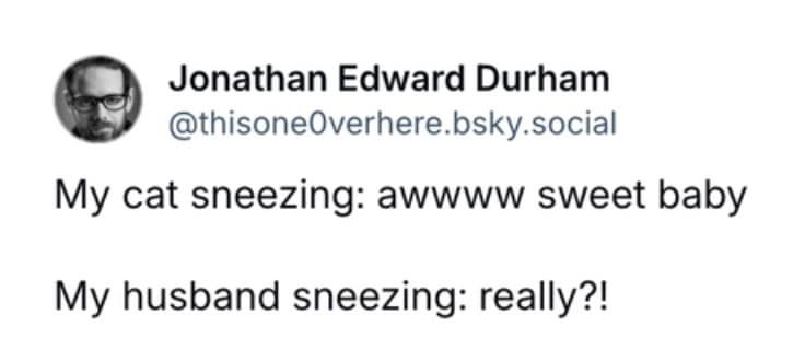 funny cat memes, cat memes, cute cat memes, kitty memes, hilarious cat memes, cat jokes, cat humor, feline memes, cat pics, crazy cat memes, cat laugh memes, cat funny pics, kitty humor, internet cat memes, whisker memes, cat comedy, cat lovers memes, meme cats, feline funny, cat meme dump