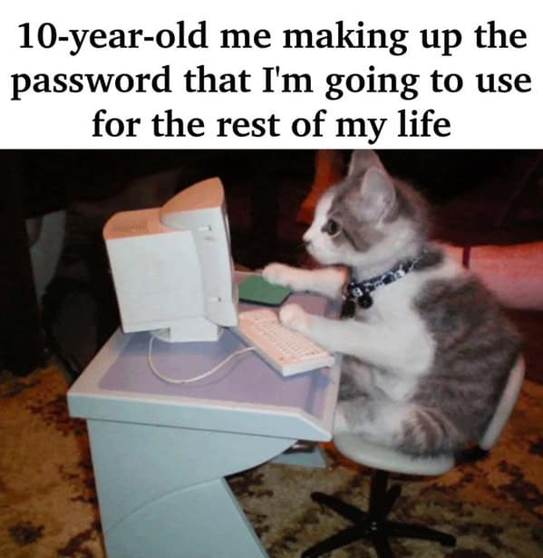 funny cat memes, cat memes, cat owner memes, cute cat memes, kitty memes, hilarious cat memes, feline humor, cat jokes, cat meme collection, whisker memes, cat comedy, lol cats, cat laugh memes, internet cat jokes, cat humor, kitty laughs, meme cats, paw-sitive memes, cat funnies, feline memes, cat meme dump