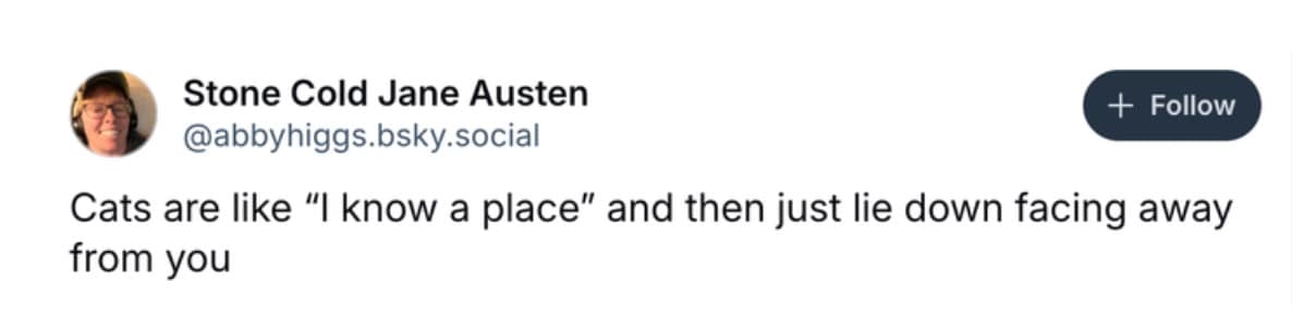 funny cat memes, cat memes, cute cat memes, kitty memes, hilarious cat memes, cat jokes, cat humor, feline memes, cat pics, crazy cat memes, cat laugh memes, cat funny pics, kitty humor, internet cat memes, whisker memes, cat comedy, cat lovers memes, meme cats, feline funny, cat meme dump