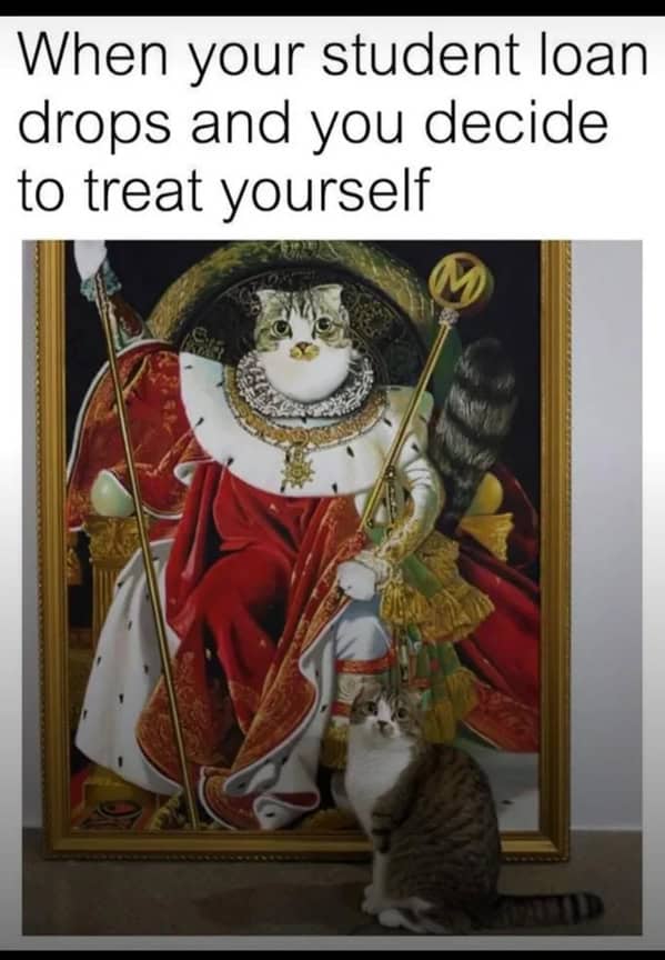 funny cat memes, cat memes, cat owner memes, cute cat memes, kitty memes, hilarious cat memes, feline humor, cat jokes, cat meme collection, whisker memes, cat comedy, lol cats, cat laugh memes, internet cat jokes, cat humor, kitty laughs, meme cats, paw-sitive memes, cat funnies, feline memes, cat meme dump