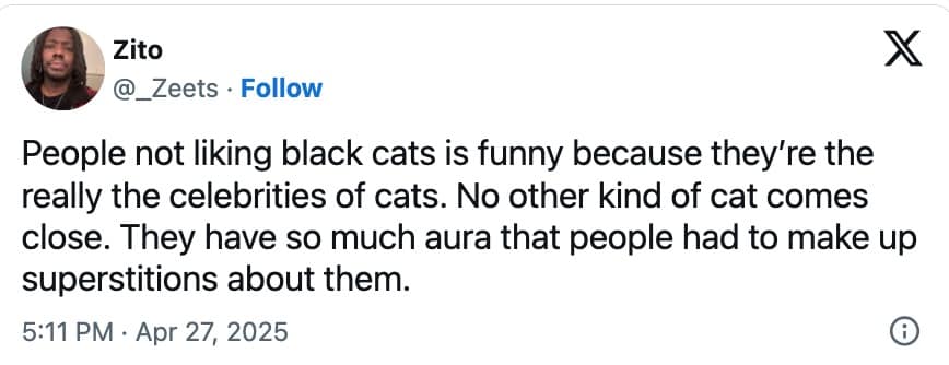 funny cat memes, cat memes, cute cat memes, kitty memes, hilarious cat memes, cat jokes, cat humor, feline memes, cat pics, crazy cat memes, cat laugh memes, cat funny pics, kitty humor, internet cat memes, whisker memes, cat comedy, cat lovers memes, meme cats, feline funny, cat meme dump