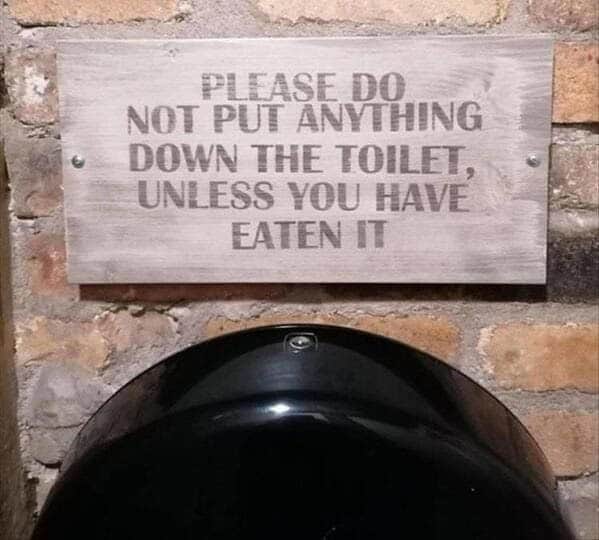 PLEASE DO NOT PUT ANYTHING DOWN THE TOILET, UNLESS YOU HAVE EATEN IT