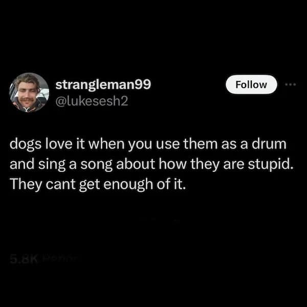 dogs love it when you use them as a drum and sing a song about how they are stupid. They cant get enough of it.