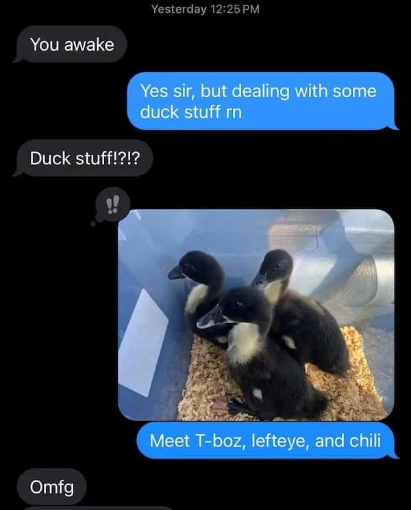 You awake Yes sir, but dealing with some duck stuff rn Duck stuff!?!?