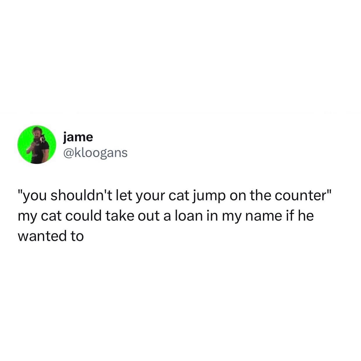 "you shouldn't let your cat jump on the counter" my cat could take out a loan in my name if he wanted to