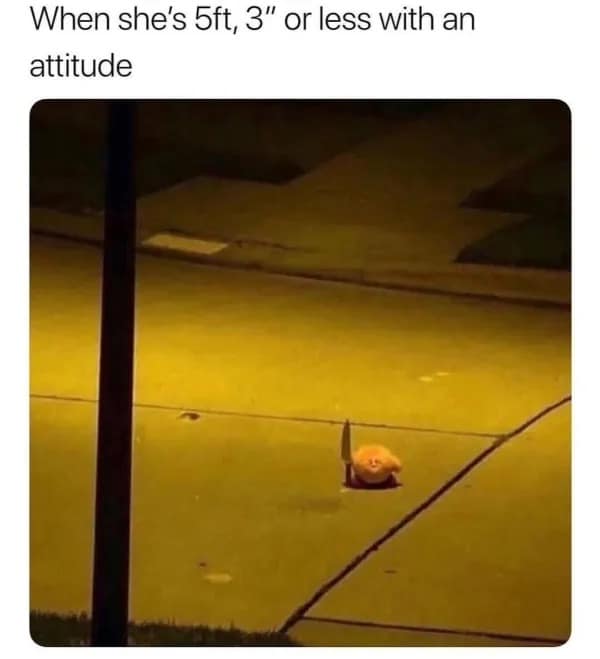 When she's 5ft, 3" or less with an attitude