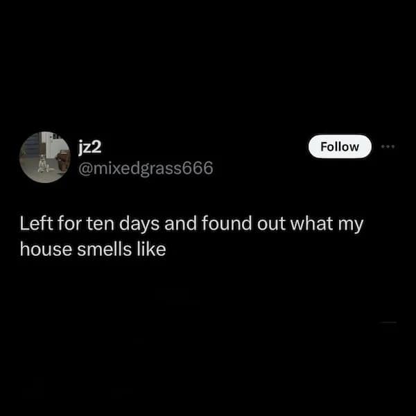 Left for ten days and found out what my house smells like