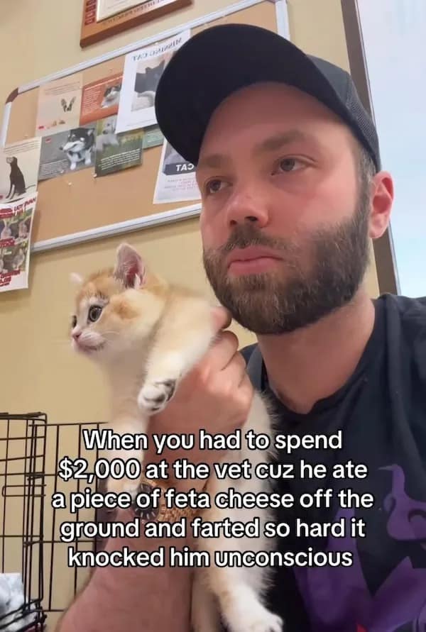 When you had to spend $2,000 at the vet cuz he ate a piece of feta cheese off the ground and farted so hard it knocked him unconscious
