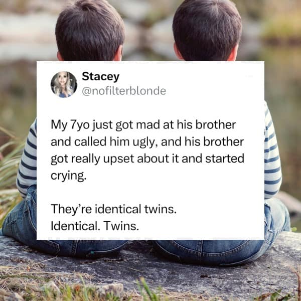 My 7yo just got mad at his brother and called him ugly, and his brother got really upset about it and started crying. They're identical twins. Identical. Twins.