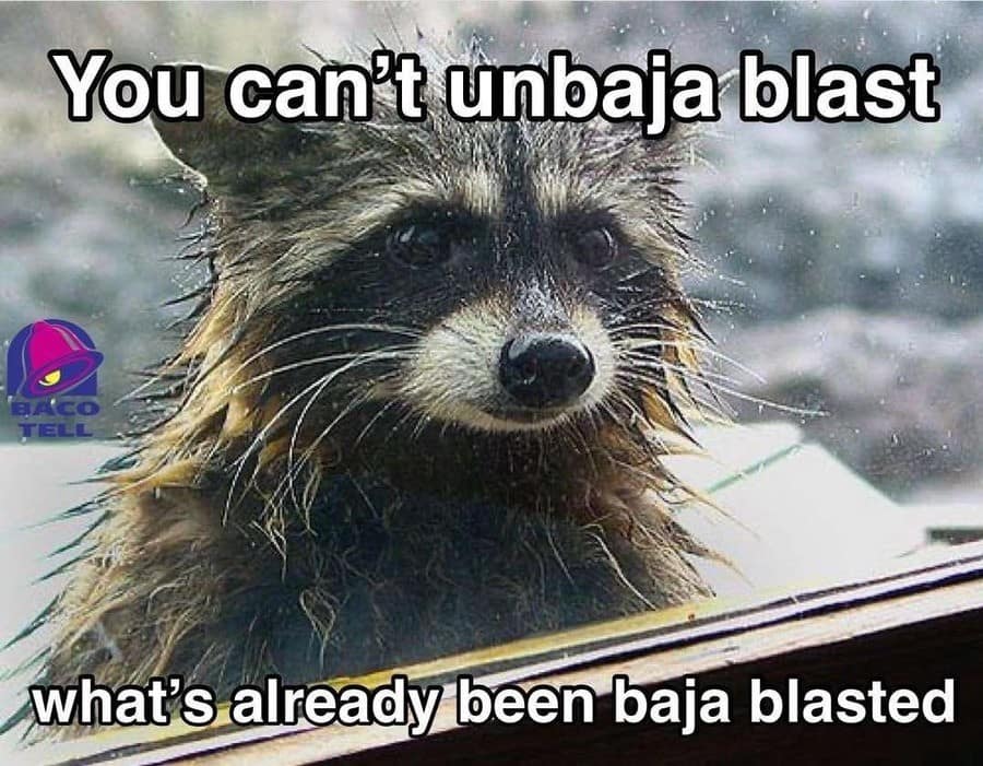 You can't unbaja blast BACO TELL what's already been baja blasted