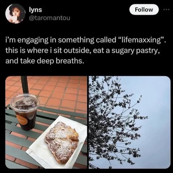 i'm engaging in something called "lifemaxxing". this is where i sit outside, eat a sugary pastry, and take deep breaths.