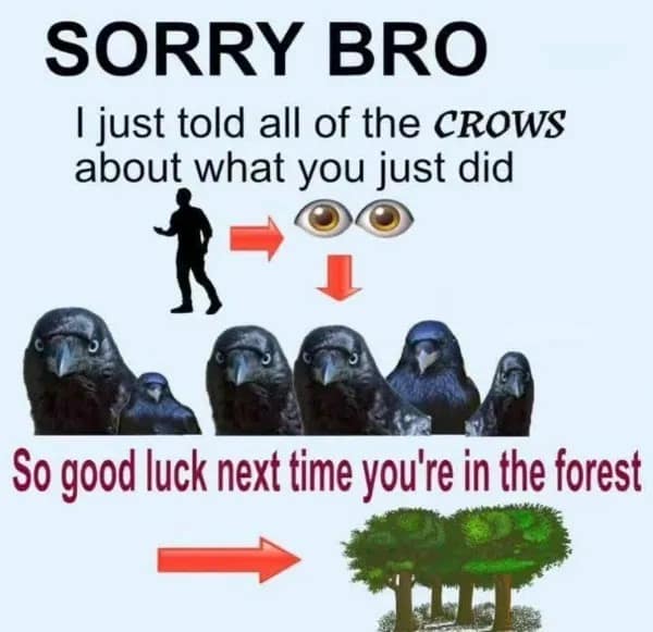 SORRY BRO I just told all of the CROWS about what you just did
