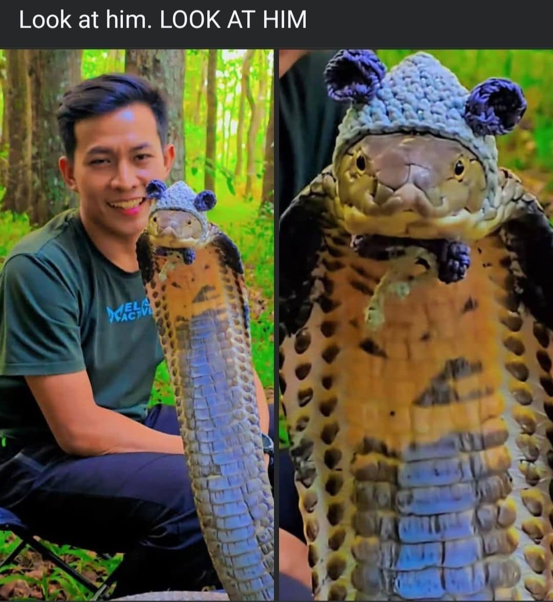 Look at him. LOOK AT HIM