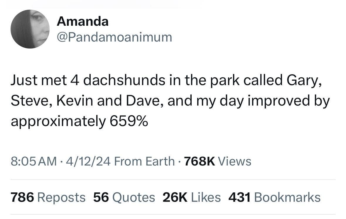 Just met 4 dachshunds in the park called Gary, Steve, Kevin and Dave, and my day improved by approximately 659%