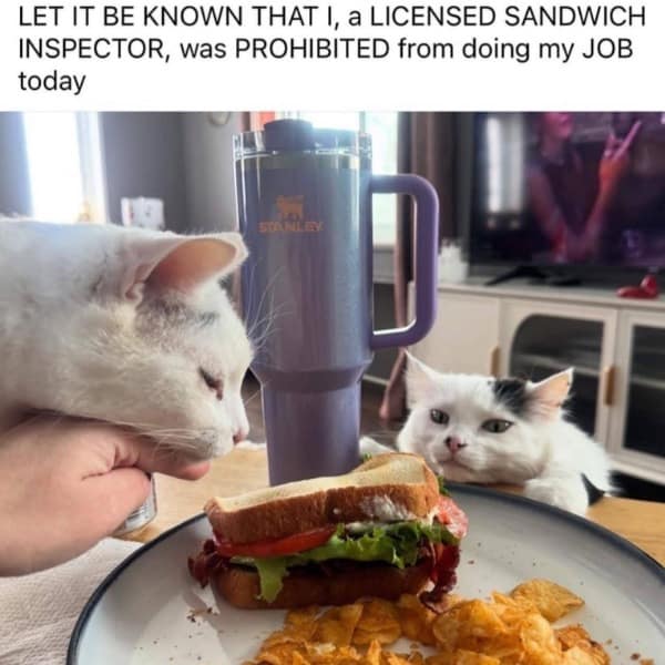 LET IT BE KNOWN THAT I, a LICENSED SANDWICH INSPECTOR, was PROHIBITED from doing my JOB today