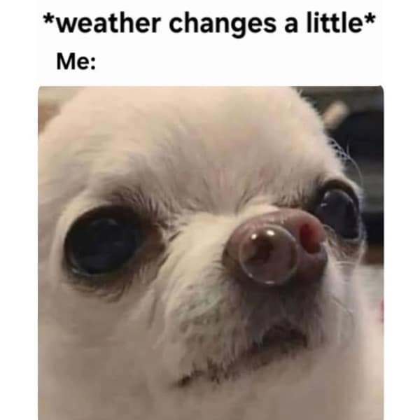 *weather changes a little* Me: