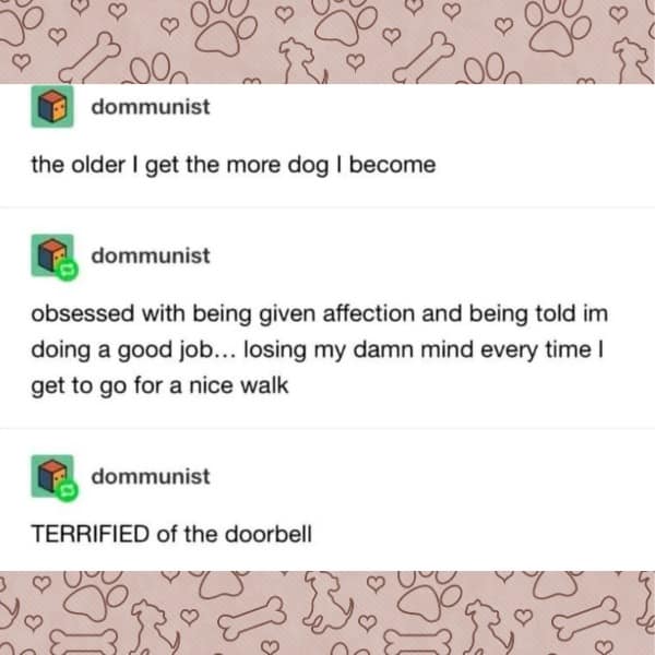 the older I get the more dog I become