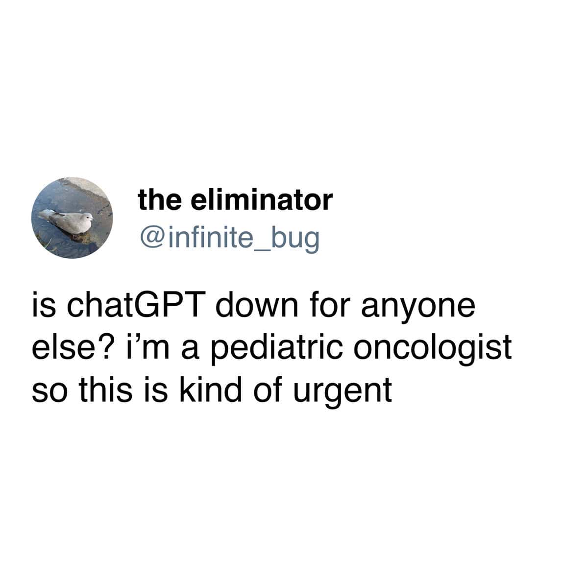 is chatGPT down for anyone else? i'm a pediatric oncologist so this is kind of urgent