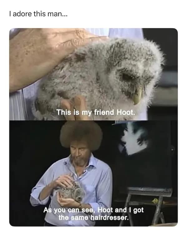 I adore this man... This is my friend Hoot. As you can see, Hoot and I got the same hairdresser.