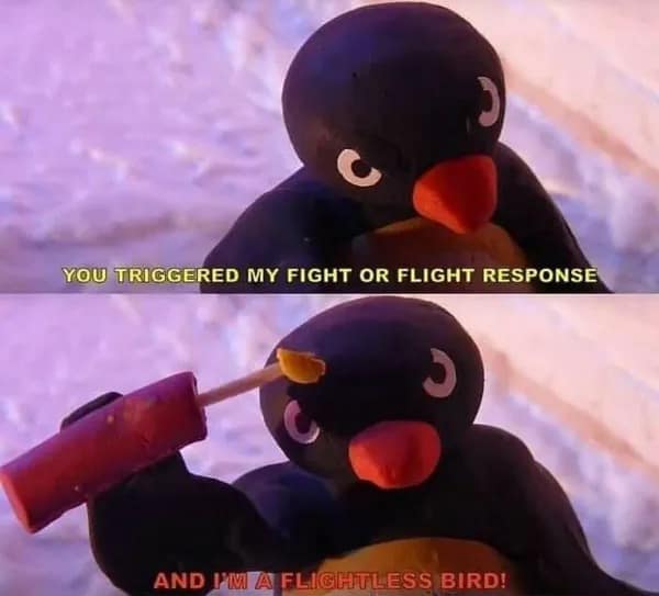 YOU TRIGGERED MY FIGHT OR FLIGHT RESPONSE AND PM A FLIGHTLESS BIRD!