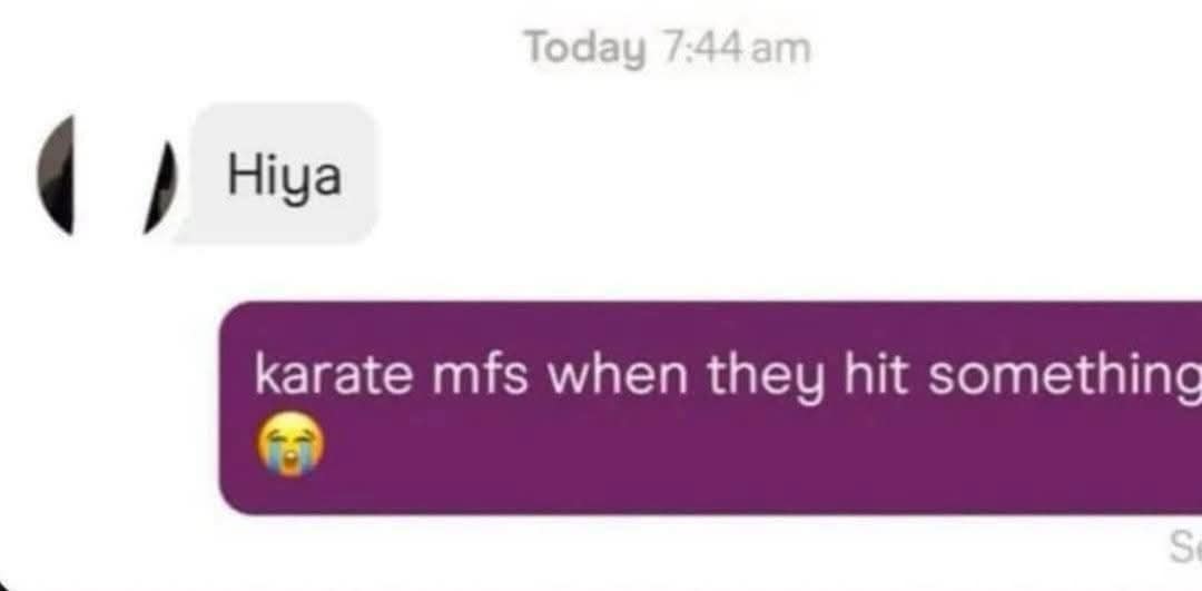 Hiya karate mfs when they hit something