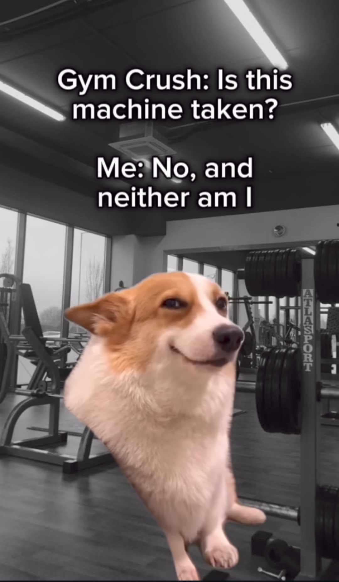 Gym Crush: Is this machine taken? Me: No, and neither am I