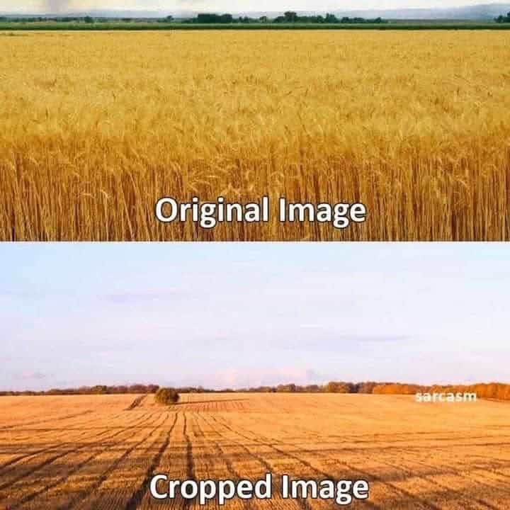 funny puns, pun memes, punny memes, comedic wordplay, witty one-liners, pun-based humor, bad jokes, cringe humor, awkward comedy, questionable quips, corny puns, silly wordplay, cheeseball lines, pun jokes, pun-liners, witty pun outbursts, pun-lovers