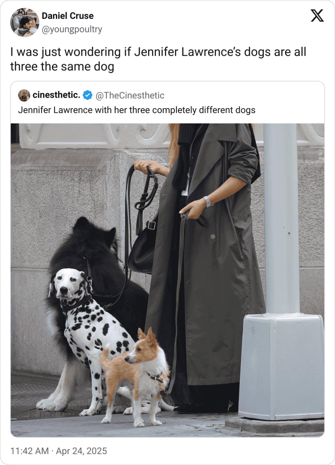 funny quote tweets, funny tweets, Twitter memes, viral tweets, social media humor, tweet roasts, witty quote tweets, timeline jokes, Twitter clapbacks, quote-tweet comedy