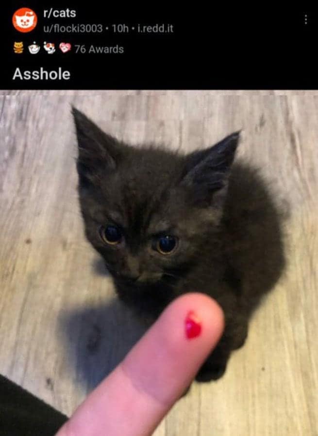 funny reddit posts, funny reddit, Reddit memes, subreddit jokes, viral Reddit, Reddit humor, Reddit screenshots, Reddit threads, funny comments, Reddit laughs, internet jokes, social media memes, hilarious Reddit, best Reddit posts, trending Reddit, hilarious threads