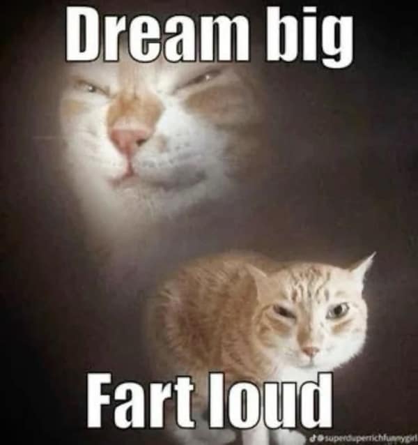 funny relatable memes, relatable memes, life memes, funny memes, daily memes, relatable humor, everyday memes, relatable jokes, real life memes, meme humor, adulting memes, relatable content, life jokes, reality memes, human experience memes, shared struggle memes, day-to-day memes, mood memes, common life memes, universal memes