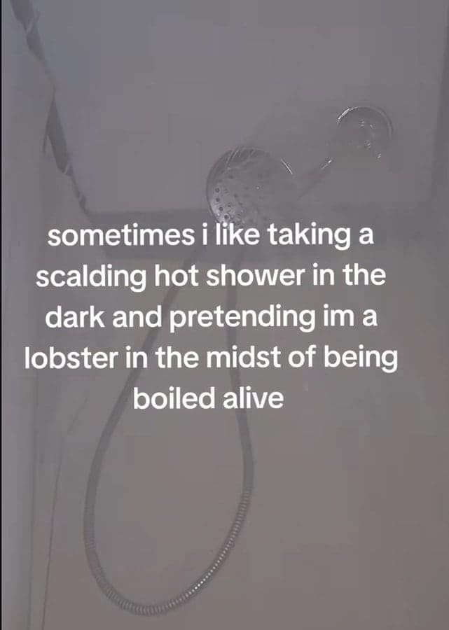funny tiktok screenshots, funny tiktok, comedic short-video stills, platform freeze-frames, curated TikTok images, TikTok humor, comedic challenges, lip-sync laughs, micro-video skits, social media memes, net-based comedic references, digital platform jokes, user-generated comedic bits