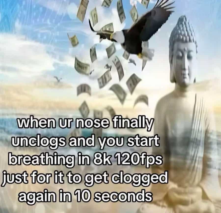 funny tiktok screenshots, funny tiktok, comedic short-video stills, platform freeze-frames, curated TikTok images, TikTok humor, comedic challenges, lip-sync laughs, micro-video skits, social media memes, net-based comedic references, digital platform jokes, user-generated comedic bits
