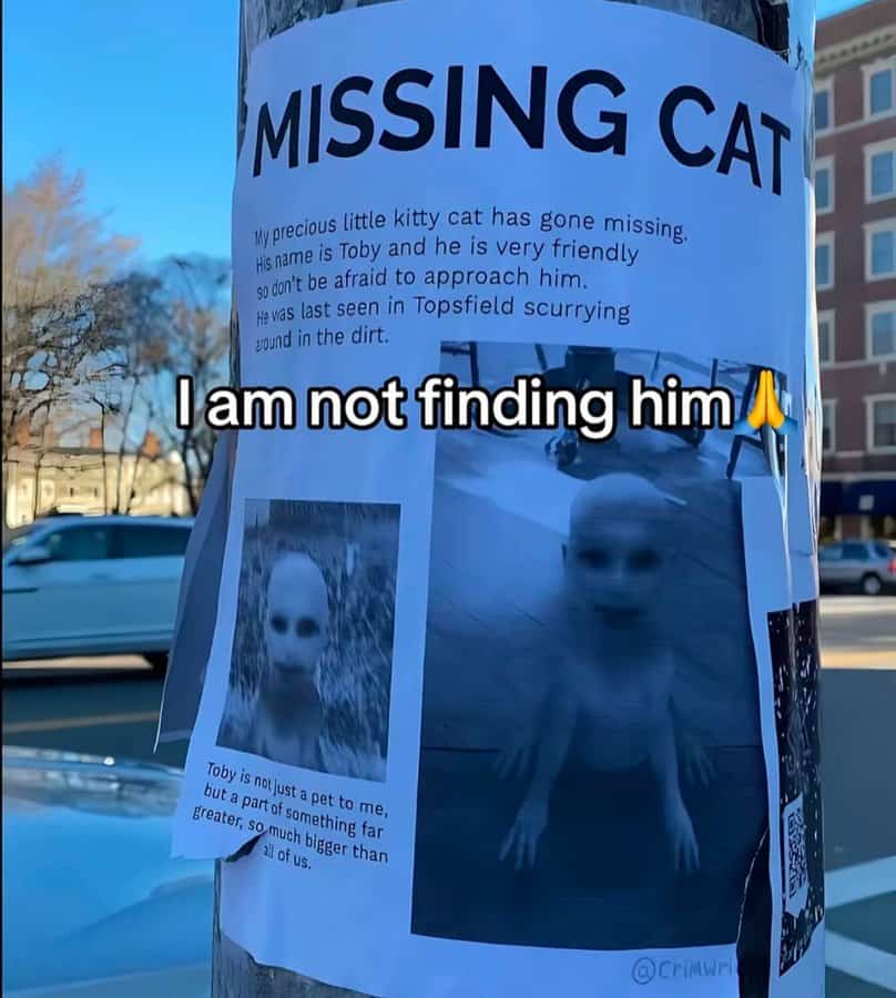 funny tiktok screenshots, funny tiktok, silly short clips, comedic video bits, hilarious app content, viral videos, trending clips, internet sensations, popular online footage, TikTok compilation, video roundup, short-form curation, aggregated content, tiktok memes, dancing jokes, comedic app references, social media humor