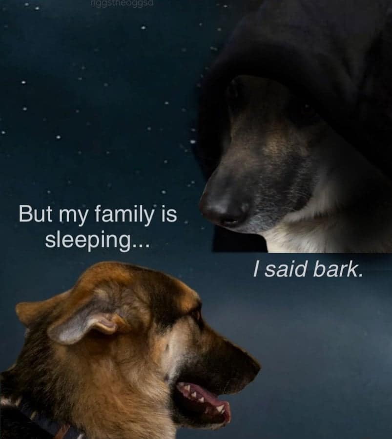 funny tiktok screenshots, funny tiktok, silly short clips, comedic video bits, hilarious app content, viral videos, trending clips, internet sensations, popular online footage, TikTok compilation, video roundup, short-form curation, aggregated content, tiktok memes, dancing jokes, comedic app references, social media humor