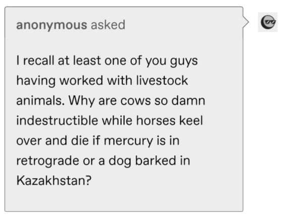 funny tumblr thread, horses don't have enough toes, Tumblr memes, Tumblr posts, Tumblr jokes, viral Tumblr, Tumblr humor, Tumblr comedy, horse memes, hoof jokes, equine humor, funny thread, viral post, internet humor, Tumblr laughs, meme thread, online thread jokes, social media humor, quirky Tumblr, comedic thread, funny hoof memes