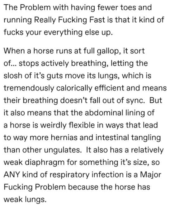 funny tumblr thread, horses don't have enough toes, Tumblr memes, Tumblr posts, Tumblr jokes, viral Tumblr, Tumblr humor, Tumblr comedy, horse memes, hoof jokes, equine humor, funny thread, viral post, internet humor, Tumblr laughs, meme thread, online thread jokes, social media humor, quirky Tumblr, comedic thread, funny hoof memes