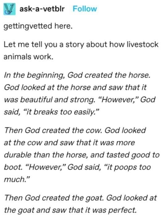 funny tumblr thread, horses don't have enough toes, Tumblr memes, Tumblr posts, Tumblr jokes, viral Tumblr, Tumblr humor, Tumblr comedy, horse memes, hoof jokes, equine humor, funny thread, viral post, internet humor, Tumblr laughs, meme thread, online thread jokes, social media humor, quirky Tumblr, comedic thread, funny hoof memes