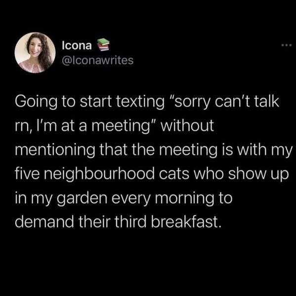 funny work memes, work memes, work tweets, office memes, job memes, workplace humor, corporate memes, employee memes, meeting memes, boss memes, 9-to-5 memes, productivity memes, coffee at work memes, cubicle jokes, workday laughs, career memes, office jokes, professional memes, work life memes, workplace jokes, employment memes