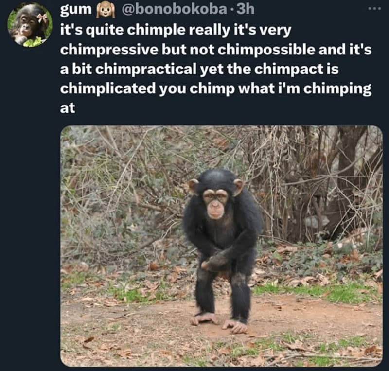 gorilla meme, ape memes, monkey memes, funny animal memes, gorilla jokes, primate memes, chimp memes, zoo memes, banana memes, silverback humor, gorilla memes