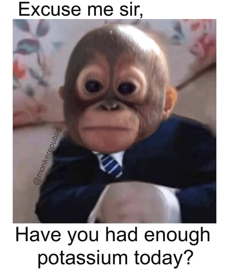 gorilla meme, ape memes, monkey memes, funny animal memes, gorilla jokes, primate memes, chimp memes, zoo memes, banana memes, silverback humor, gorilla memes