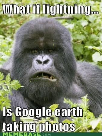 gorilla meme, ape memes, monkey memes, funny animal memes, gorilla jokes, primate memes, chimp memes, zoo memes, banana memes, silverback humor, gorilla memes