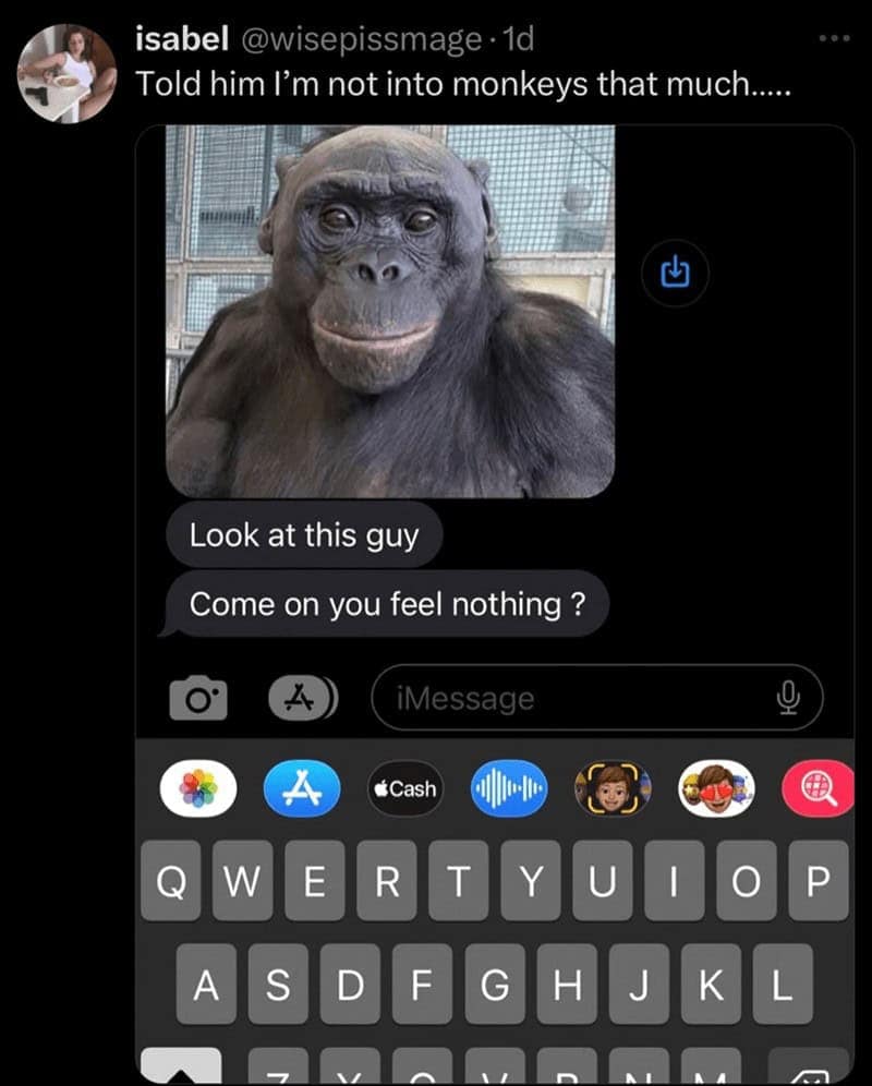 gorilla meme, ape memes, monkey memes, funny animal memes, gorilla jokes, primate memes, chimp memes, zoo memes, banana memes, silverback humor, gorilla memes